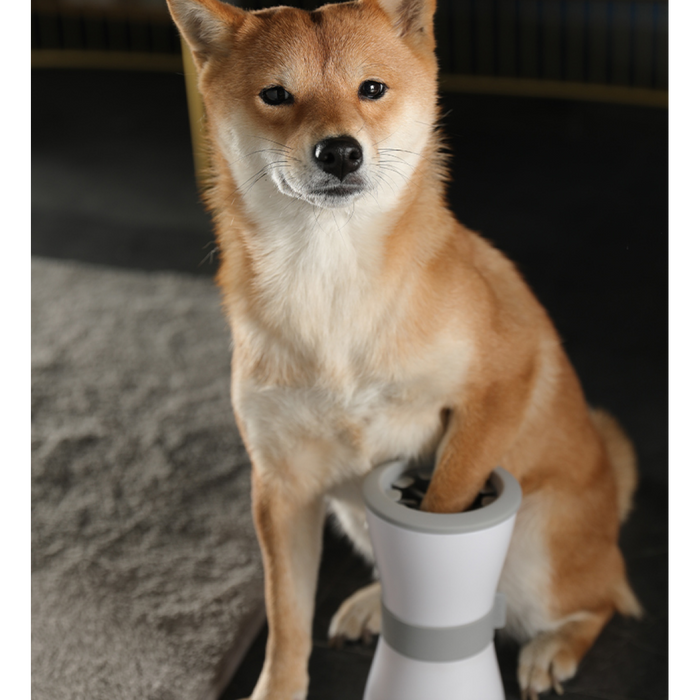 Electric Foot Washing Cups For Pets