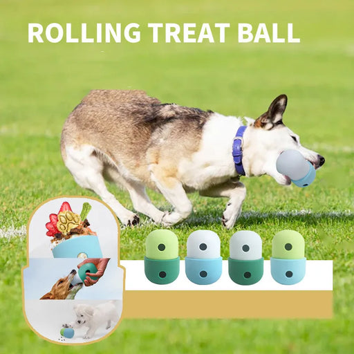 2-in-1 Dog Leakage Toy Ball