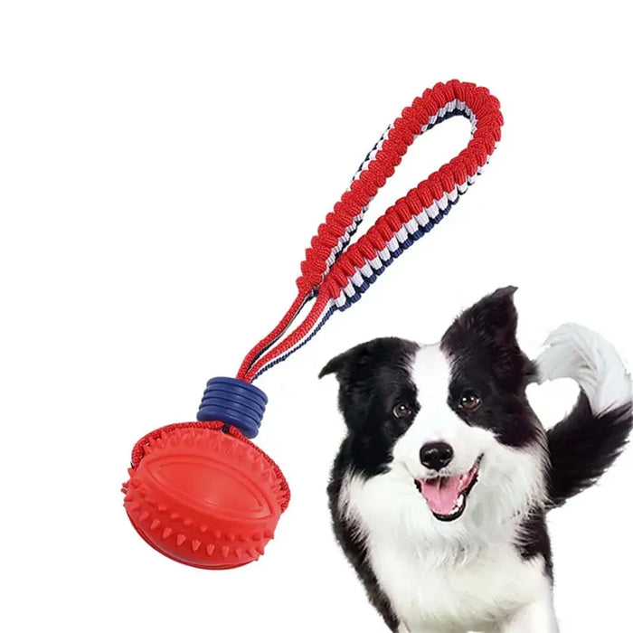 Interactive Dog Toy Ball with Rope