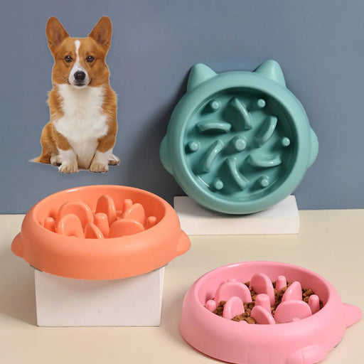 Anti-Choking Slow Feeder Bowl