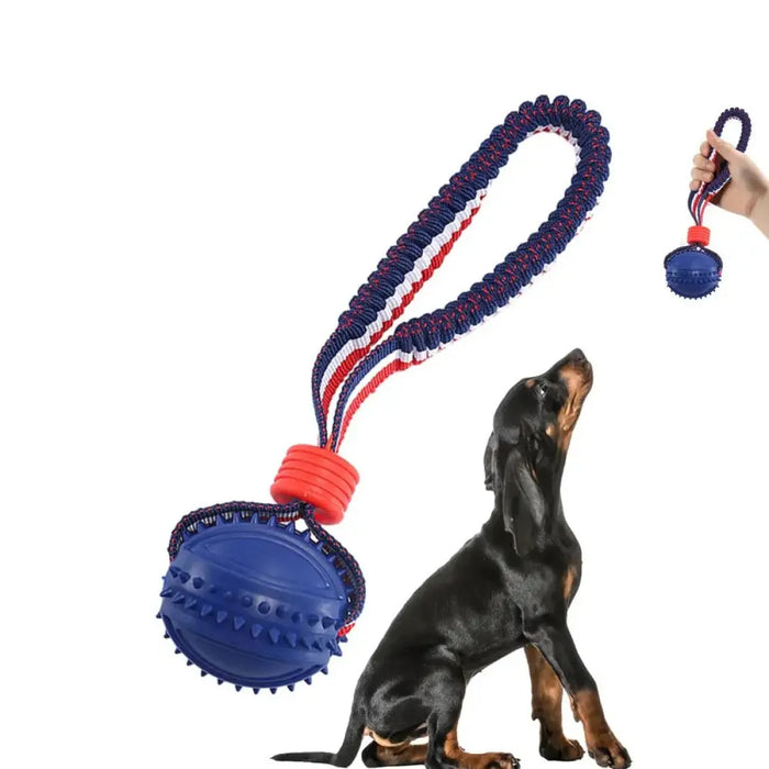 Interactive Dog Toy Ball with Rope