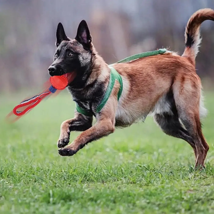 Interactive Dog Toy Ball with Rope